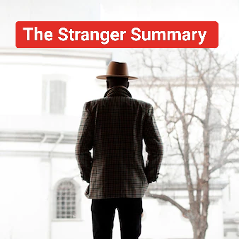 The Stranger by Albert Camus Summary: The Stranger is a fantastic novel that centres on the story of a French man.